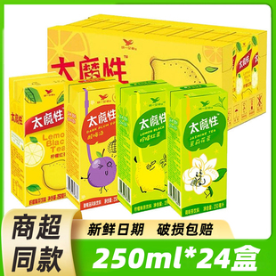 统一太魔性柠檬红茶250ml 24盒装 茉莉花茶酸梅汤果味茶饮料饮品