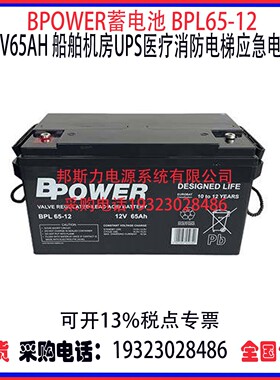美国BPOWER蓄电池BPL65-12 12V65AH船舶机房UPS医疗消防应急电源