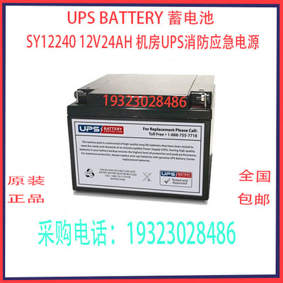 UPSBATTERY蓄电池12V24AH