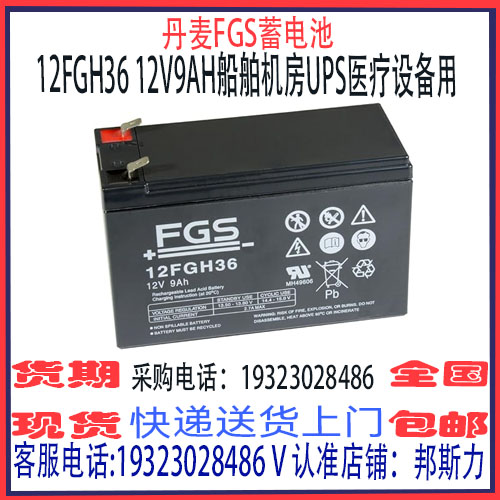 丹麦FGS蓄电池船舶机房UPS