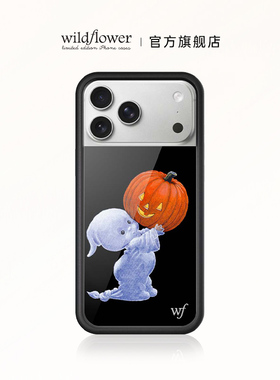 Wildflower小幽灵手机壳Boo适用苹果iPhone17/16/15/14/Pro/Max/Air硬壳全包保护套硅胶防摔个性wf南瓜万圣节
