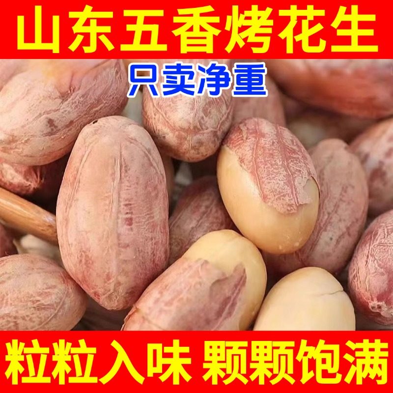 山东五香烤花生脱油蒜香花生米下酒菜零食官方旗舰店,零食/坚果/特产,花生,淘宝优惠券,粉丝福利购,淘宝优惠卷