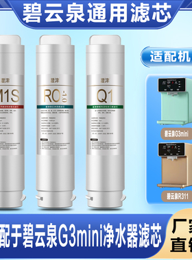 适配于碧云泉滤芯G3mini净水器R31/R311/R3M RO膜 平替净饮饮水机