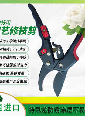 进口高级双档位修枝剪果树粗枝剪修花嫁接树枝园林剪多用剪刀