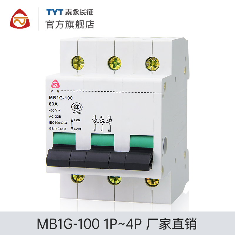 MB1G-100TYT泰永长征63/32A100A/4P长九隔离开关保护