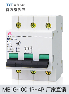 MB1G-100TYT泰永长征63/32A100A/4P长九隔离开关保护断路器2P正品