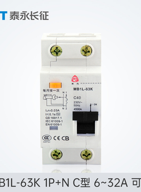 MB1L-63K漏电保护开关AC型32/16TYT泰永长征长九50A10A1P+N断路器