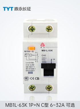 MB1L-63K漏电保护开关AC型32/16TYT泰永长征长九50A10A1P+N断路器