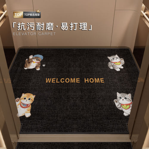 电梯轿厢专用地垫防滑耐脏入户垫