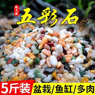 天然雨花石原石鱼缸底砂鹅卵石造景小石头装饰彩色石子五花石龟缸