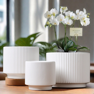 花盆陶瓷带托盘圆形花盆大号特大号蝴蝶兰专用盆家用欧式简约多肉