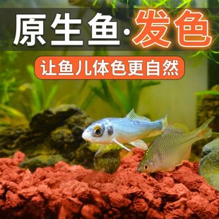 火山石鱼缸造景底砂装饰石头古法养鱼滤材专用水草泥天然底沙颗粒