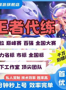 王者荣耀代打代练排位战力巅峰赛省标大国标小国标陪玩带上分车队