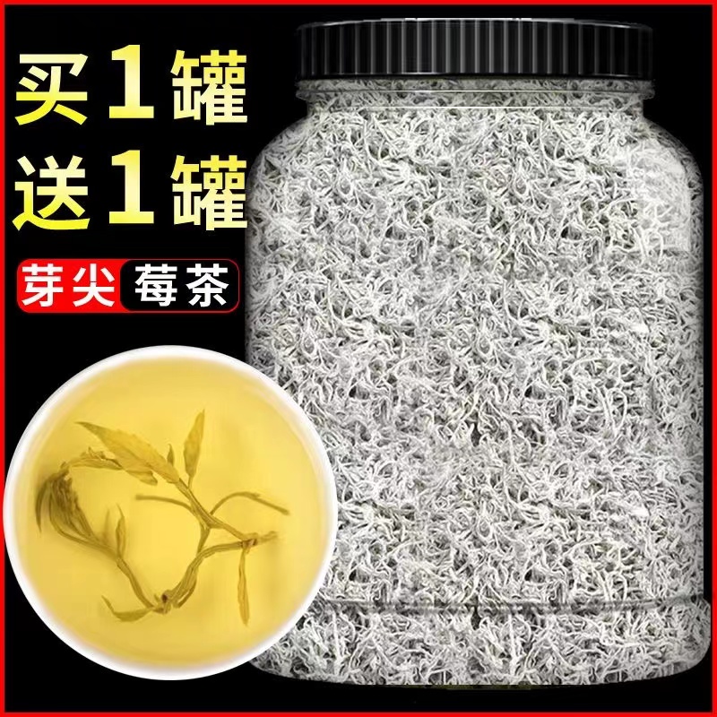 莓茶湖南永顺张美丽家界永顺官方旗舰店特级野生的功效与作用乌龙
