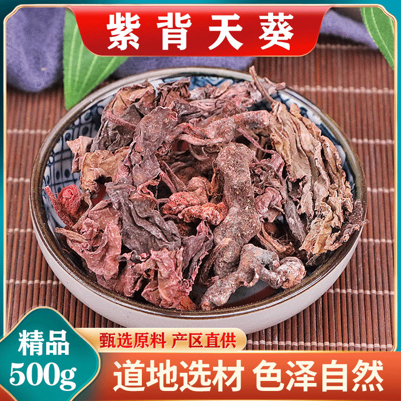紫背天葵500g克中药材正品红天葵子红水葵散血子新鲜中草药干货批