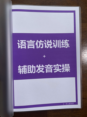 【语言仿说训练+辅助发音】自闭症构音障碍家庭干预 非课程不退换