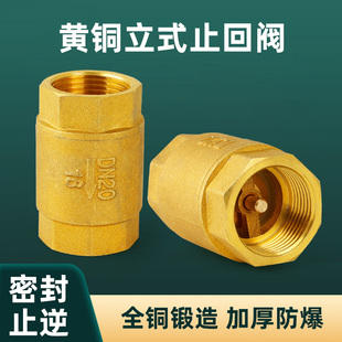 止回阀4分6分内丝加厚自来水管道防反水逆止阀弹簧单向阀 全铜立式