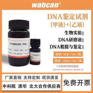 二苯胺乙醇试剂 氯化钠标准溶液 高中生物实验DNA提取检测研磨液