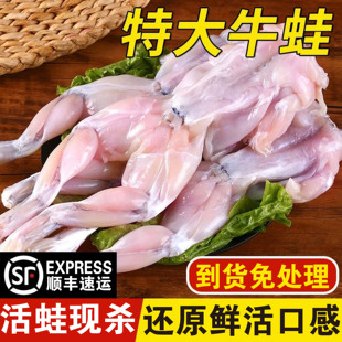 【顺丰】新鲜牛蛙鲜活现杀特大速冻去皮半成品火锅食材田鸡商用