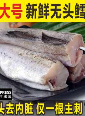 顺丰 无头鳕鱼新鲜明太鱼冷冻去头去内脏狭鳕鱼整条深海鳕鱼海鲜