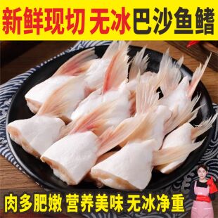 顺丰 新鲜无冰巴沙鱼鳍鱼翅速冻正宗鱼鳍肉鮰鱼鱼翅商用批发
