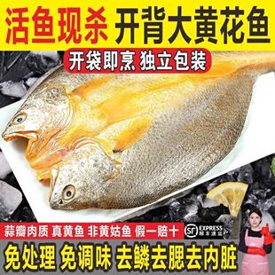 宁德霞浦黄鱼鲞新鲜三去黄花鱼开背大黄鱼鲜活海鱼免腌制送礼佳品