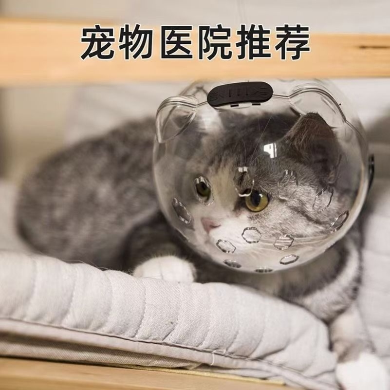 打针防咬剪指甲猫咪头套安全防舔透气猫咪外出太空头罩伊丽莎白圈