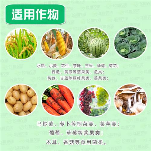 国光四高 葡萄月季多肉西瓜草莓黄叶增产裂果氨基酸水溶叶面肥