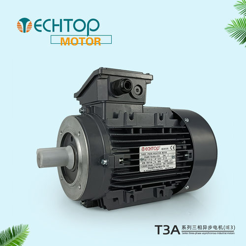特波TECHTOP电机现货 MS系列T系列三相异步感应电动机机械设备用