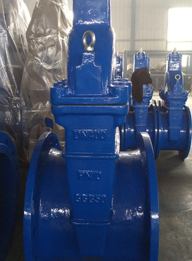 手动暗杆双法兰阀注水阀软密封闸阀 常温常压 厂家直销现货DN250