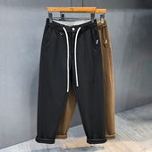 高端极简气质厚料毛呢休闲裤 子男 宽松小直筒锥形长裤 男士 秋冬新款