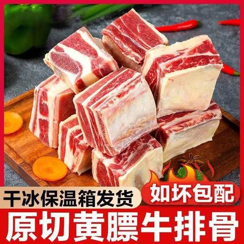 原切牛肋排牛肉新鲜牛排肋骨散养牛排骨黄膘牛排草原上的牛肉