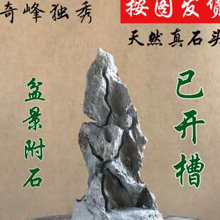 开槽盆景附石英德石树抱石条摆件造型造景配景观赏天然原石真石头