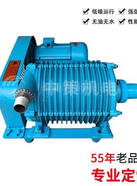 【吹吸两用离心式气泵】DLB-1C高压电动边立式气泵铝合金离心气泵