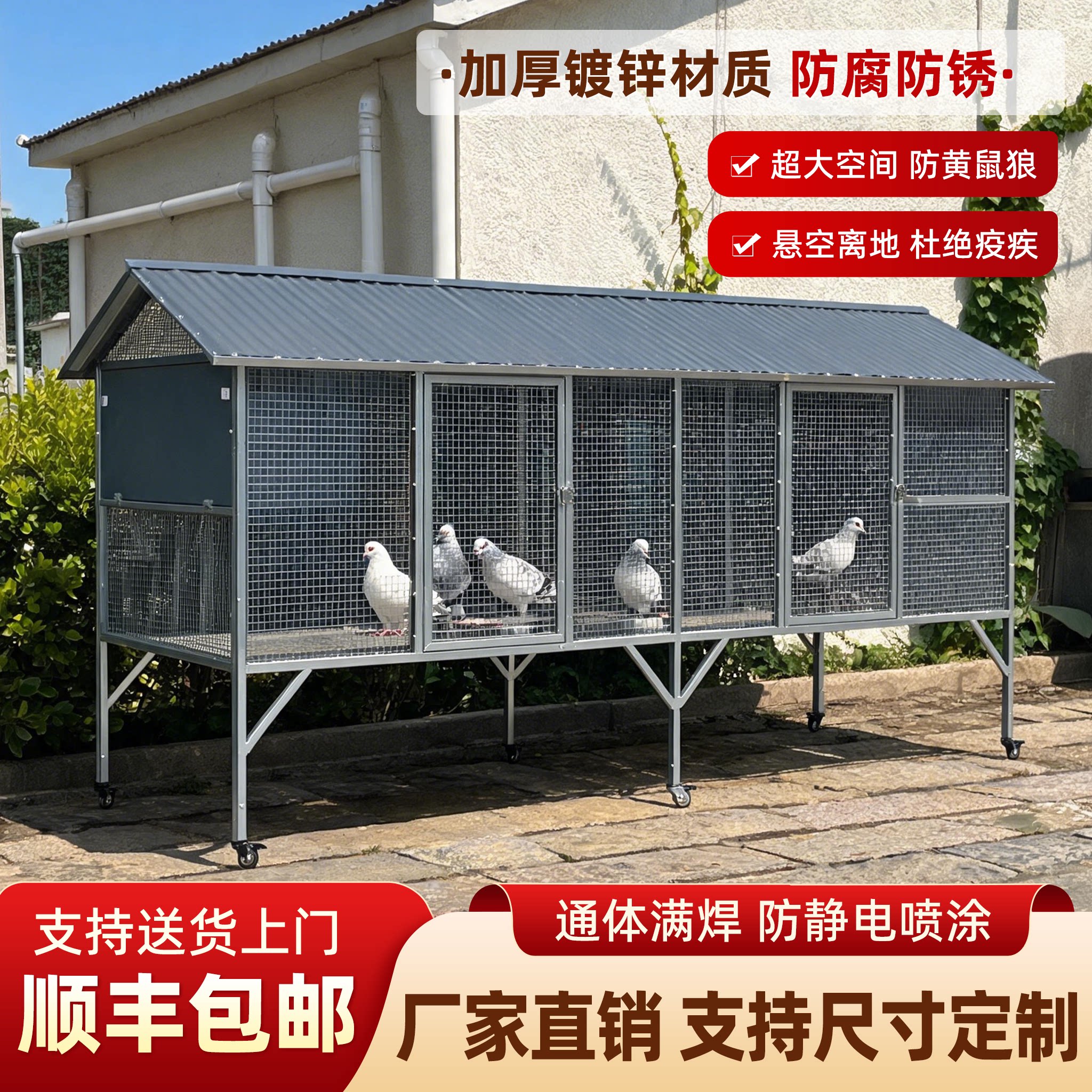大牛鸽子笼大号防黄鼠狼图片