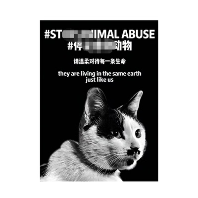 为奶牛猫发声贴纸请温柔对待每一条生命停止虐待动物车身宣传贴画