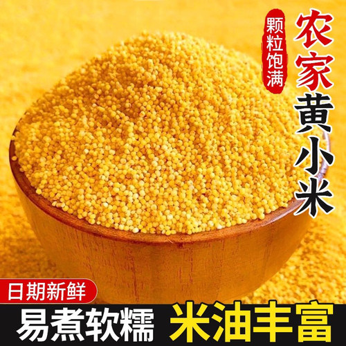 当季新米黄小米陕西正宗月子米糯米油小米软糯米五谷杂粮早餐