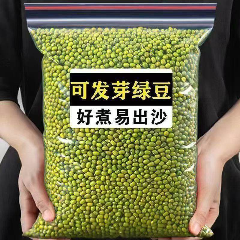 新绿豆东北农家自产绿豆出沙新鲜农家绿豆可发芽颗粒饱满夏日解暑