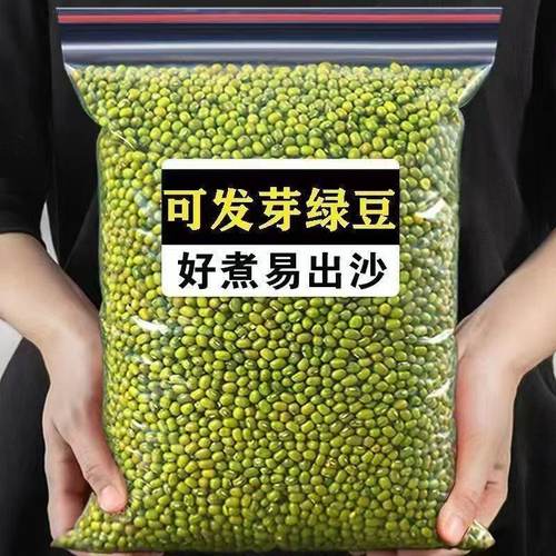 新绿豆东北农家自产绿豆出沙新鲜农家绿豆可发芽颗粒饱满夏日解暑