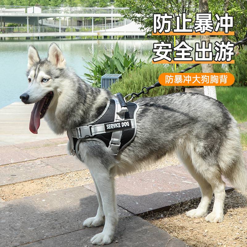 狗狗专用防挣脱中大型犬胸背套装
