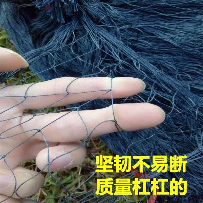 养殖专用尼龙网加粗高强丝柔软尼龙线单层鱼网黄鳝螃蟹