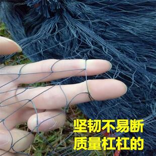 养殖专用尼龙网加粗高强丝柔软尼龙线单层鱼网黄鳝螃蟹