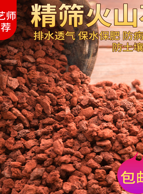 火山石颗粒多肉兰花专用颗粒土植料铺面石鱼缸底砂滤材红色火山岩