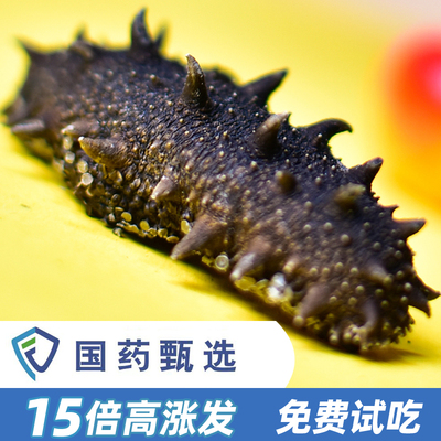 15倍涨发大连刺参干货
