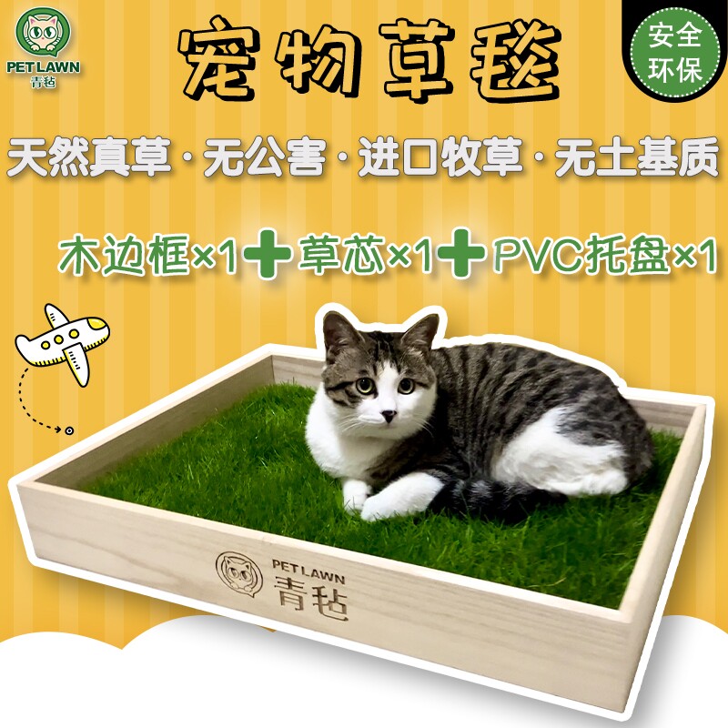 青毡精装版：多功能真草草毯/猫狗异宠通用垫子/新鲜牧草可食用草