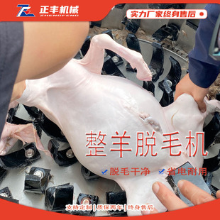 不锈钢圆筒式整羊脱毛机 猪蹄圆筒清洗机 圆筒生牛肚去杂质洗肚机