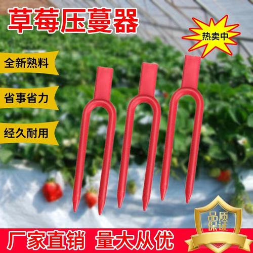 大棚草莓压蔓器藤蔓固定器压苗叉塑料固定叉子西瓜压蔓器育苗叉