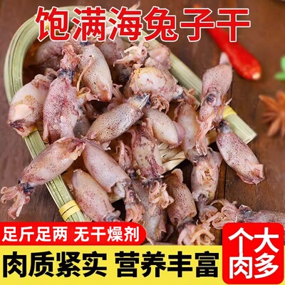 整只海兔干淡晒海兔子500g野生笔管鱼新鲜满带籽墨鱼仔海鲜鱿鱼筒