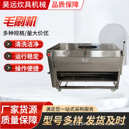 全自动毛辊清洗去皮机土豆芋头萝卜藕毛刷去皮机毛刷机