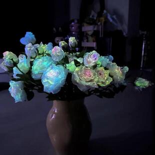 夜光丙烯颜料荧光丙烯颜料防水夜光漆发光涂料DIY夜光玫瑰荧光剂